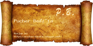 Pucher Beáta névjegykártya